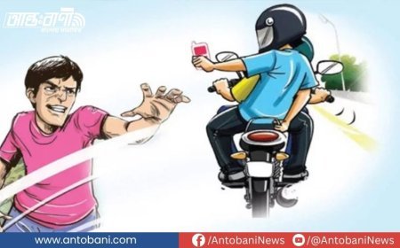 রাজধানীর  চার থানায় বিভিন্ন নামে অর্ধশতাধিক সক্রিয় অপরাধী চক্র