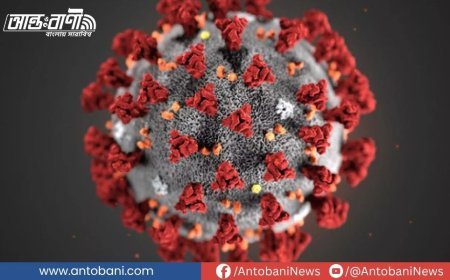 দেশে আরও ১৩ জনের শরীরে করোনাভাইরাস পাওয়া গেছে