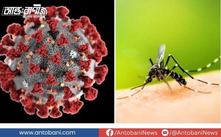 করোনা ও ডেঙ্গুর দ্বৈত প্রকোপ: চাপে স্বাস্থ্যব্যবস্থা, প্রস্তুত কি সরকার?
