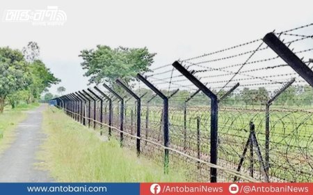 সিলেট সীমান্তে ভারতের অভ্যন্তরে ৯ ঘণ্টা ধরে গাছে ঝুলে বাংলাদেশির লাশ