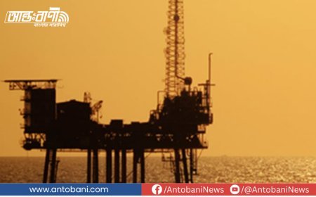 ইরান-ইসরায়েল যুদ্ধের ছায়ায় তেলের বাজারে টানাপোড়েন: ট্রাম্পের নীরব কৌশলে কমল দাম