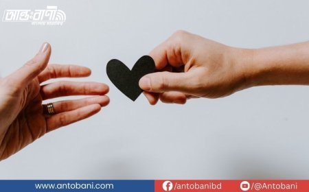 সম্পর্ক: জীবনের নিঃশব্দ ভাষা, এক বহুরূপী বন্ধন