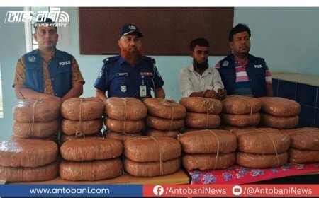 কসবায় তিন অভিযানে ৯০ কেজি গাঁজা উদ্ধার, নারীসহ আটক ৪