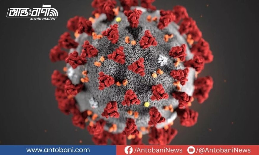 দেশে আরও ১৩ জনের শরীরে করোনাভাইরাস পাওয়া গেছে