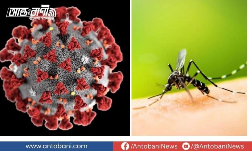 করোনা ও ডেঙ্গুর দ্বৈত প্রকোপ: চাপে স্বাস্থ্যব্যবস্থা, প্রস্তুত কি সরকার?