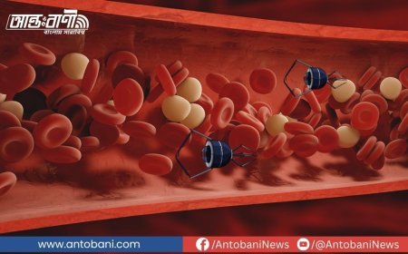 দেহে ঢুকে ক্যান্সার ধ্বংস করবে দক্ষিণ কোরিয়ার ‘ন্যানোবট বাহিনী’