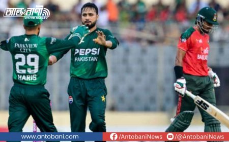 জাকেরের লড়াকু ফিফটি, ১৩৩ রানে অলআউট বাংলাদেশ