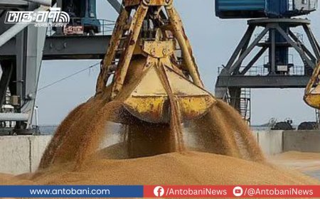 যুক্তরাষ্ট্রের গম আমদানিতে বাণিজ্য ঘাটতি কমবে সামান্যই