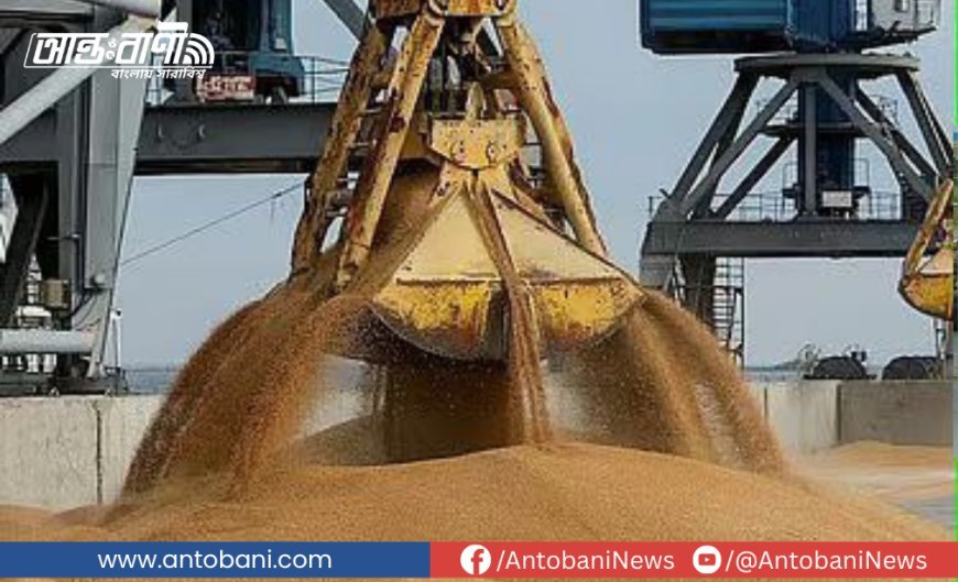 যুক্তরাষ্ট্রের গম আমদানিতে বাণিজ্য ঘাটতি কমবে সামান্যই
