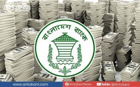 ৮৯ বারের মতো পেছালো রিজার্ভ চুরির মামলার প্রতিবেদন