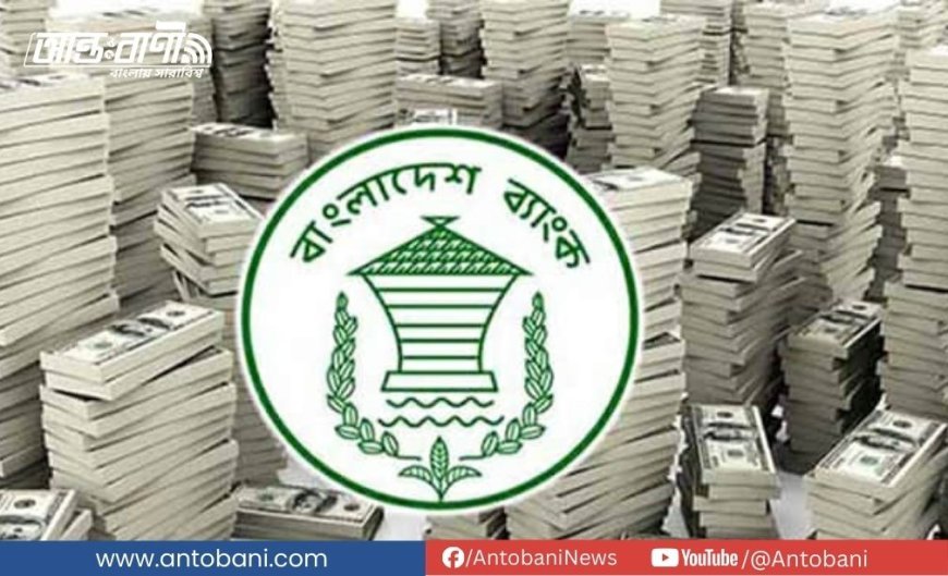 ৮৯ বারের মতো পেছালো রিজার্ভ চুরির মামলার প্রতিবেদন