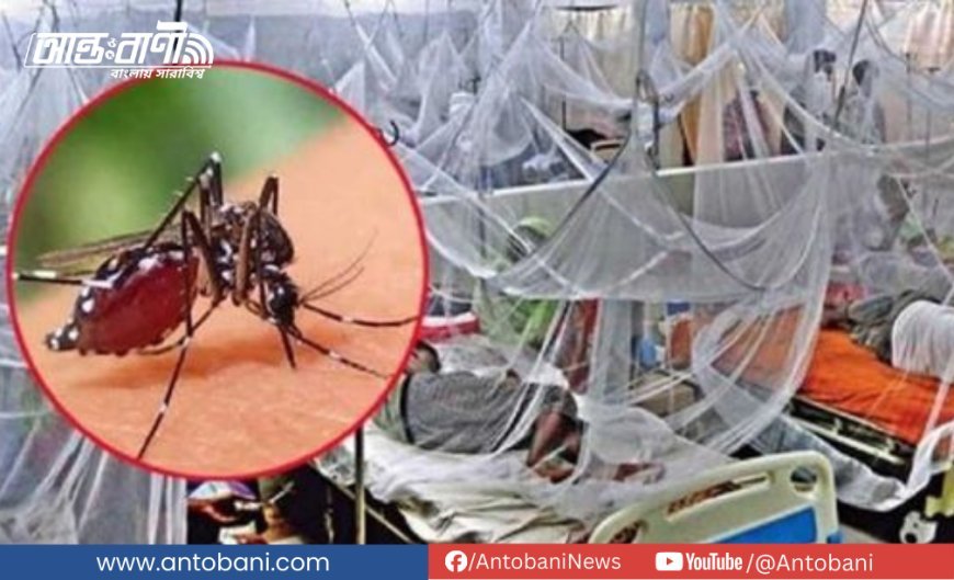 আজ ডেঙ্গু আক্রান্তে মৃত্যু ৩, হাসপাতালে ভর্তি ৫৫৬