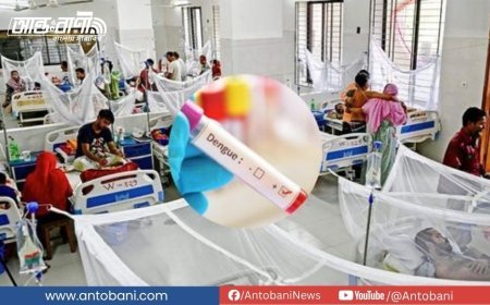 আজ ডেঙ্গুতে আরও ২ জনের মৃত্যু, চলতি বছরে মোট প্রাণহানি ২০০