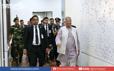 জাতিসংঘ অধিবেশন শেষে দেশে ফিরলেন ড. মুহাম্মদ ইউনূস