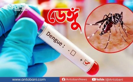 একদিনে ডেঙ্গুতে ২ জনের মৃত্যু, হাসপাতালে ভর্তি ৩৯৬