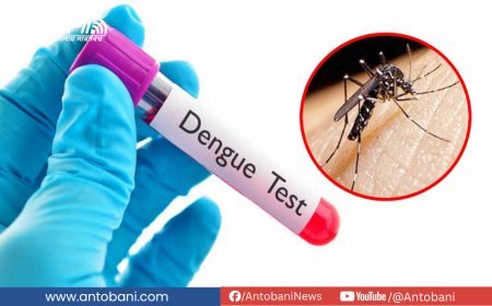 ডেঙ্গুতে আক্রান্ত আরও ২৬৩ জন,  আজ প্রাণহানি শূন্য