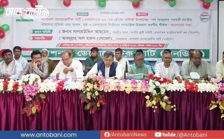 নির্বাচন বিলম্বিত হলে ফ্যাসিবাদের উত্থান ঘটবে: সালাহউদ্দিন আহমদ