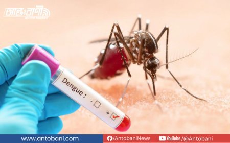 দেশে ডেঙ্গুতে আরও ৯ জনের মৃত্যু, আক্রান্ত রেকর্ডসংখ্যক