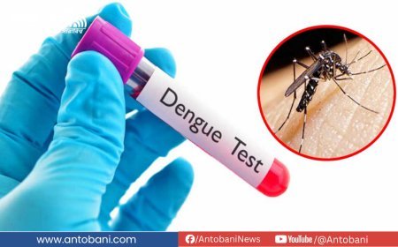 দেশে ডেঙ্গুতে আক্রান্তের সংখ্যা ৫০ হাজার ছাড়াল, মৃতের সংখ্যা ২১৫