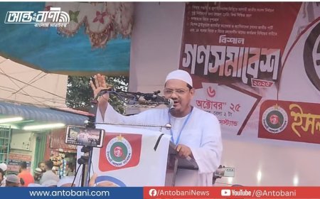 বিএনপি এককভাবে ক্ষমতায় গেলে গুন্ডাতন্ত্রের উত্থান ঘটবে : চরমোনাই পীর