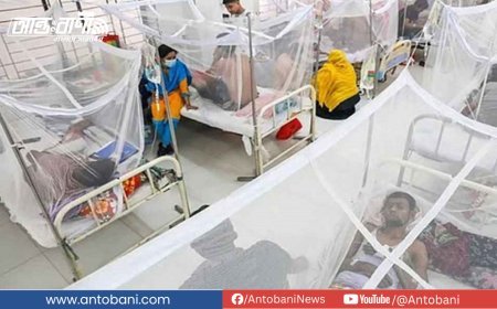 ডেঙ্গুতে গত ২৪ ঘন্টায় ২ জনের মৃত্যু, নতুন আক্রান্ত ৭১৫