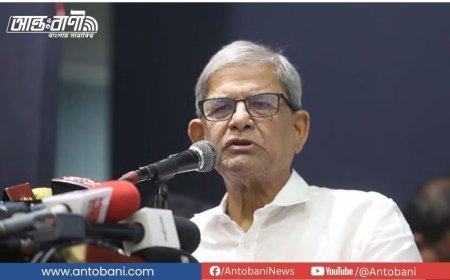 জাতীয় নির্বাচন নিয়ে গভীর ষড়যন্ত্র চলছে: মির্জা ফখরুল