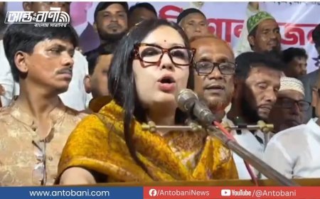 "প্রত্যেক উপদেষ্টা বিদেশি নাগরিক, গণ্ডগোল হলে চলে যেতে পারবেন" — রুমিন ফারহানা