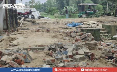 সুদের টাকা না পেয়ে ঘরের টিন কাঠ খুঁটি খুলে নিলেন ইমাম