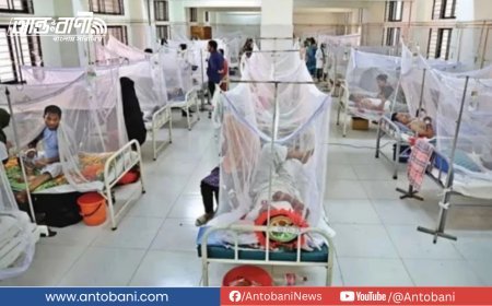 দেশে ডেঙ্গুতে আরও ৫ জনের মৃত্যু, একদিনে আক্রান্ত ৯৫৩