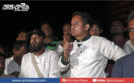 এনসিপির অনুষ্ঠানে বক্তব্য চলাকালে বিদ্যুৎ চলে যাওয়ায় চরম ক্ষিপ্ত সারজিস