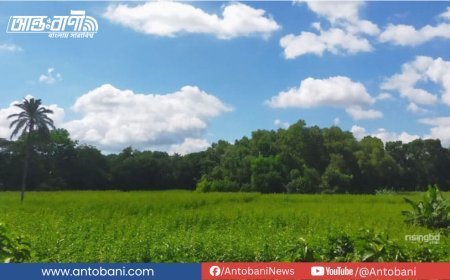 আজ কিছু এলাকায় বৃষ্টি, বেশিরভাগ স্থানে শুষ্ক থাকবে আকাশ