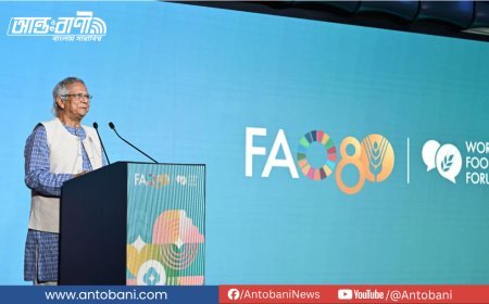 ১৭ কোটি মানুষের খাদ্যের যোগান দিচ্ছি,   আশ্রয় দিচ্ছি   ১৩ লাখ রোহিঙ্গাকে: ড. ইউনূস