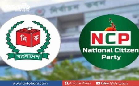 শাপলা পাচ্ছে না এনসিপি: থালা, বেগুনসহ ৫০টি  থেকে প্রতীক  বাছাই করার নির্দেশ ইসির