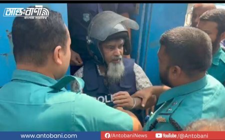 নিজেদের নিরাপত্তা ঠিক নেই, এসেছেন আমার নিরাপত্তা দিতে: পুলিশকে সুব্রত বাইন