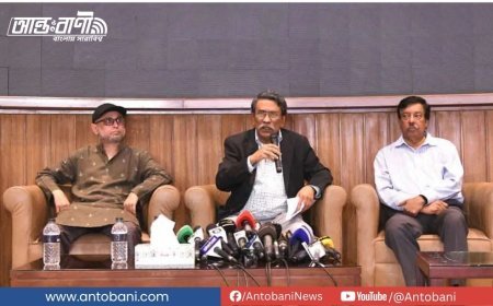 ৩১ অক্টোবরের মধ্যে ‘জুলাই জাতীয় সনদ-২০২৫’ বাস্তবায়নের সুপারিশ পেশ করবে কমিশন: অধ্যাপক আলী রীয়াজ