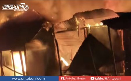ফরিদপুরে ভয়াবহ অগ্নিকাণ্ডে ১৫ দোকান পুড়ে ছাই