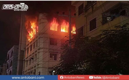 মিরপুরে কমিউনিটি সেন্টারে ভয়াবহ আগুন