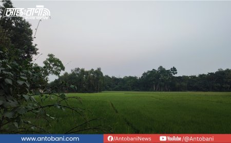 দেশজুড়ে শুষ্ক আবহাওয়া, সাগরে নিম্নচাপের প্রভাবে দূরবর্তী সতর্ক সংকেত