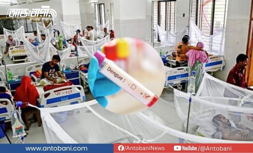 আজ ডেঙ্গুতে আরও ২ জনের মৃত্যু, চলতি বছরে মোট প্রাণহানি ২০০