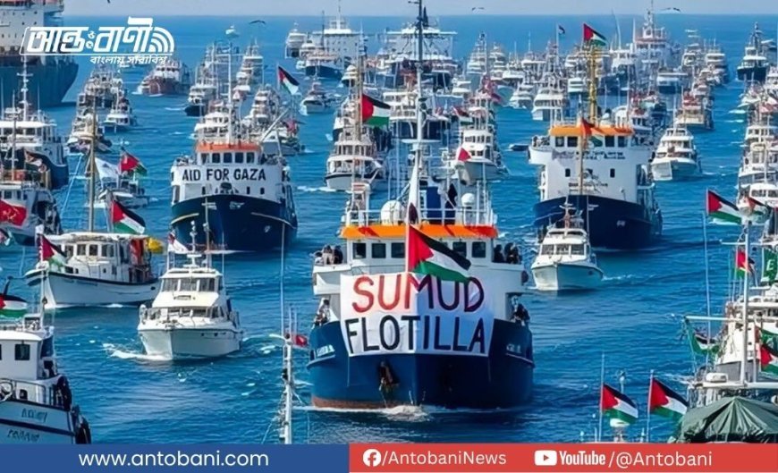 ফ্লোটিলা আটক: ১৩৭ অধিকারকর্মীকে তুরস্কে ফেরত পাঠাল ইসরায়েল