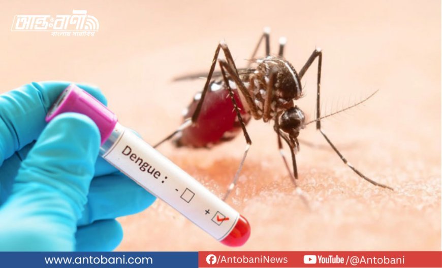 দেশে ডেঙ্গুতে আরও ৯ জনের মৃত্যু, আক্রান্ত রেকর্ডসংখ্যক