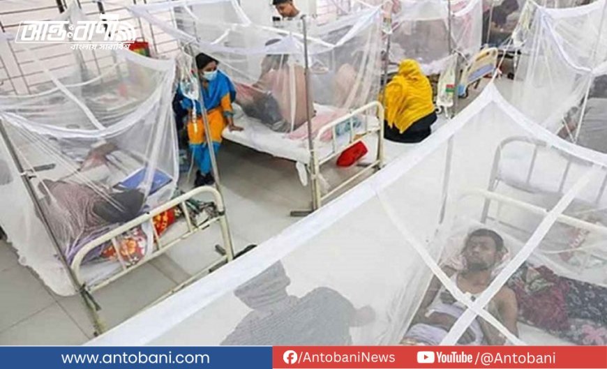 ডেঙ্গুতে গত ২৪ ঘন্টায় ২ জনের মৃত্যু, নতুন আক্রান্ত ৭১৫
