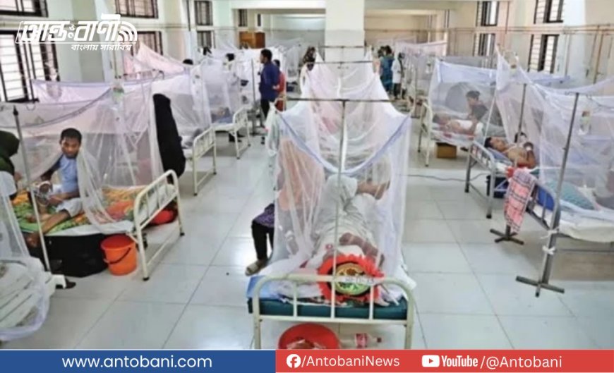 ডেঙ্গুতে আরও ৪ মৃত্যু, হাসপাতালে ৭৮১
