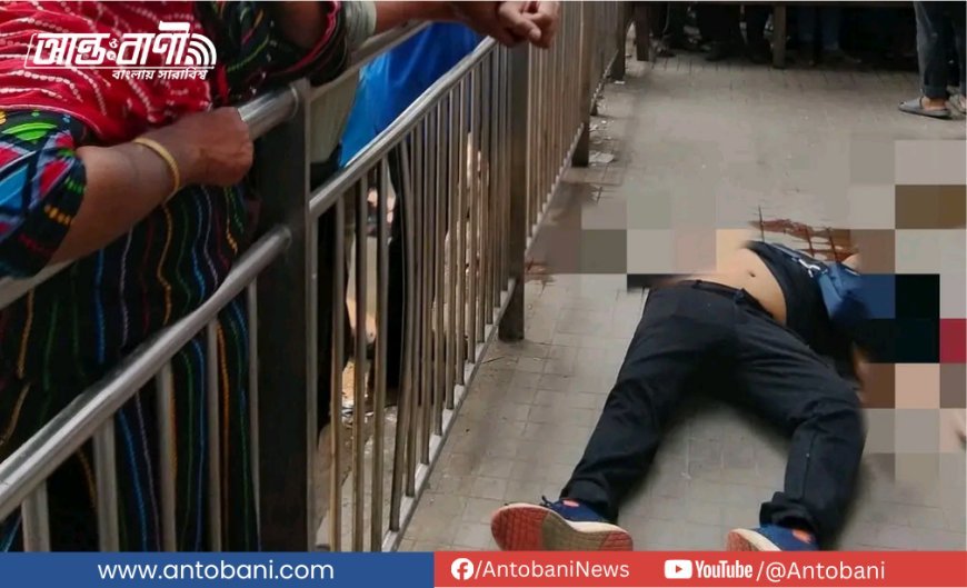 ফার্মগেটে মেট্রোরেলের স্প্রিং পড়ে পথচারীর মৃত্যু