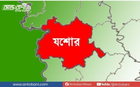 যশোরে সালিশে হামলা, জামায়াত নেতাসহ আহত ১০