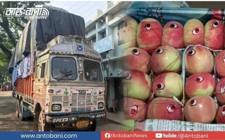 ৮ বছর পর ভারত থেকে আবার আপেল আমদানি
