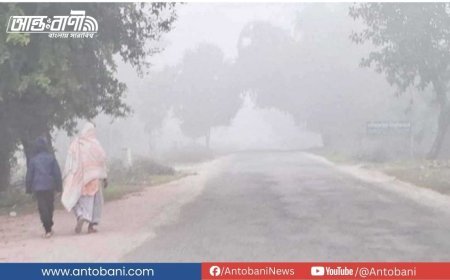 পঞ্চগড়ে হঠাৎ তাপমাত্রার পতন, বাড়ছে শীতের তীব্রতা