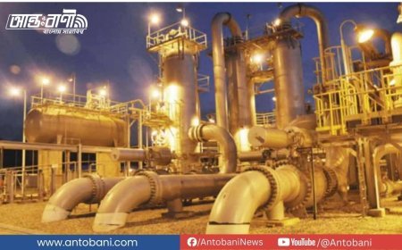 সার কারখানায় গ্যাসের দাম বাড়াচ্ছে বিইআরসি
