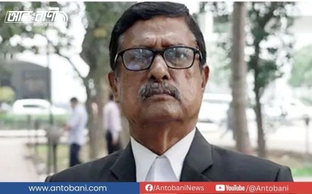 আন্তর্জাতিক অপরাধ ট্রাইব্যুনালে অ্যাডভোকেট ফজলুর রহমানের বিরুদ্ধে আদালত অবমাননার অভিযোগে প্রসিকিউশনের আবেদন