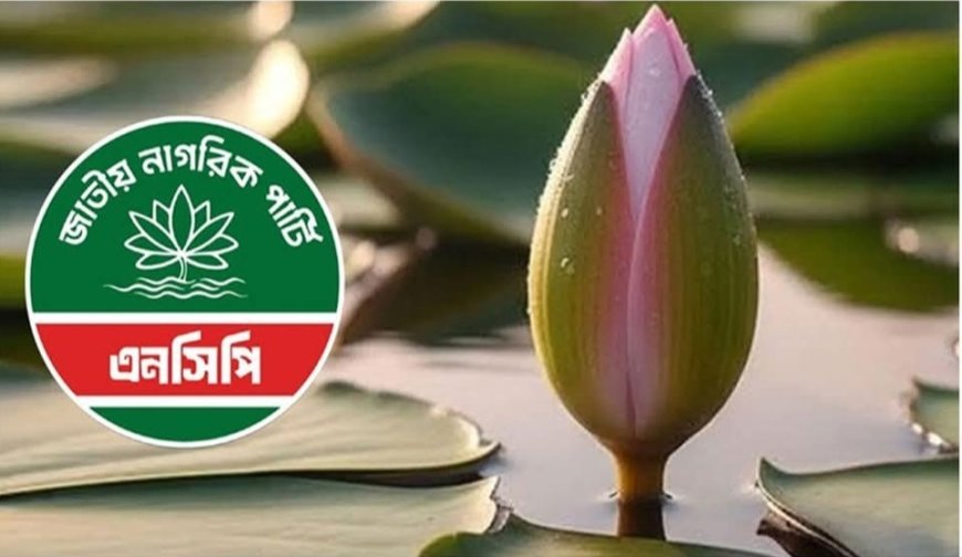 অবশেষে শাপলা কলিতেই রাজি জাতীয় নাগরিক পার্টি (এনসিপি)